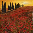 Poppies Canvas Paintings - Poppies i